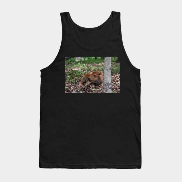 Bison Calf Tank Top by MarieDarcy